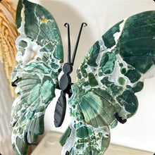 Load image into Gallery viewer, Rare Green Ocean Jasper Druzy Butterfly & Stand