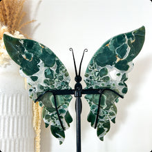 Load image into Gallery viewer, Rare Green Ocean Jasper Druzy Butterfly & Stand