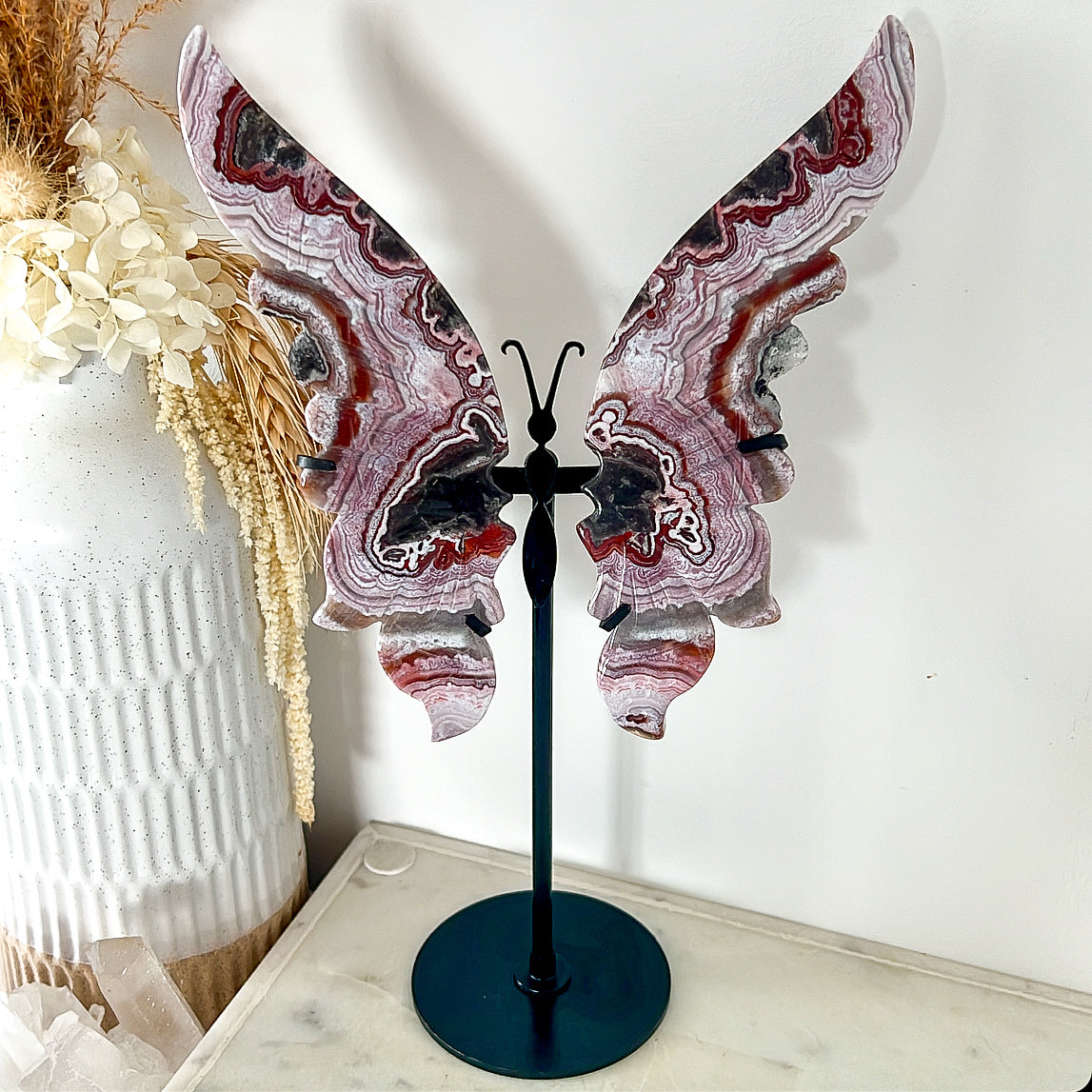 Mexican Crazy Lace Agate Butterfly with Stand