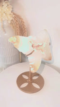 Load and play video in Gallery viewer, Flower Agate Druzy Quartz Butterfly &amp; Stand
